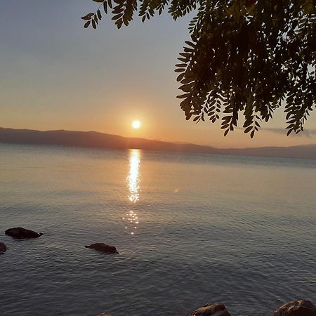 Guesthouse Zimovski Peštani Eksteriør billede