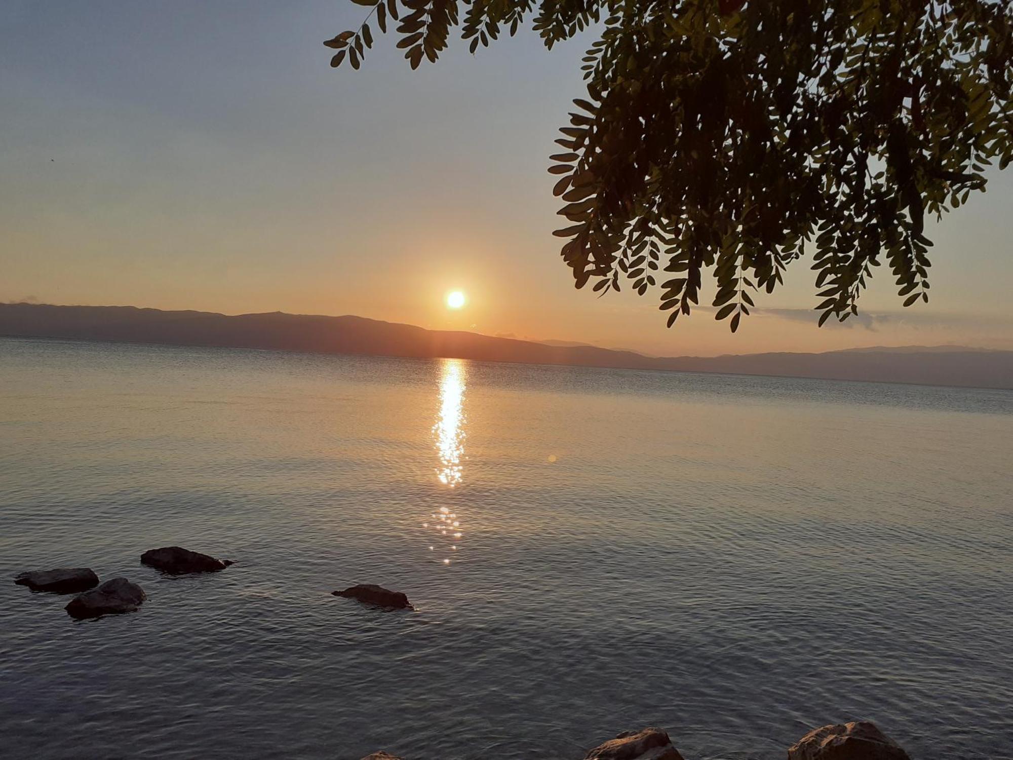 Guesthouse Zimovski Peštani Eksteriør billede