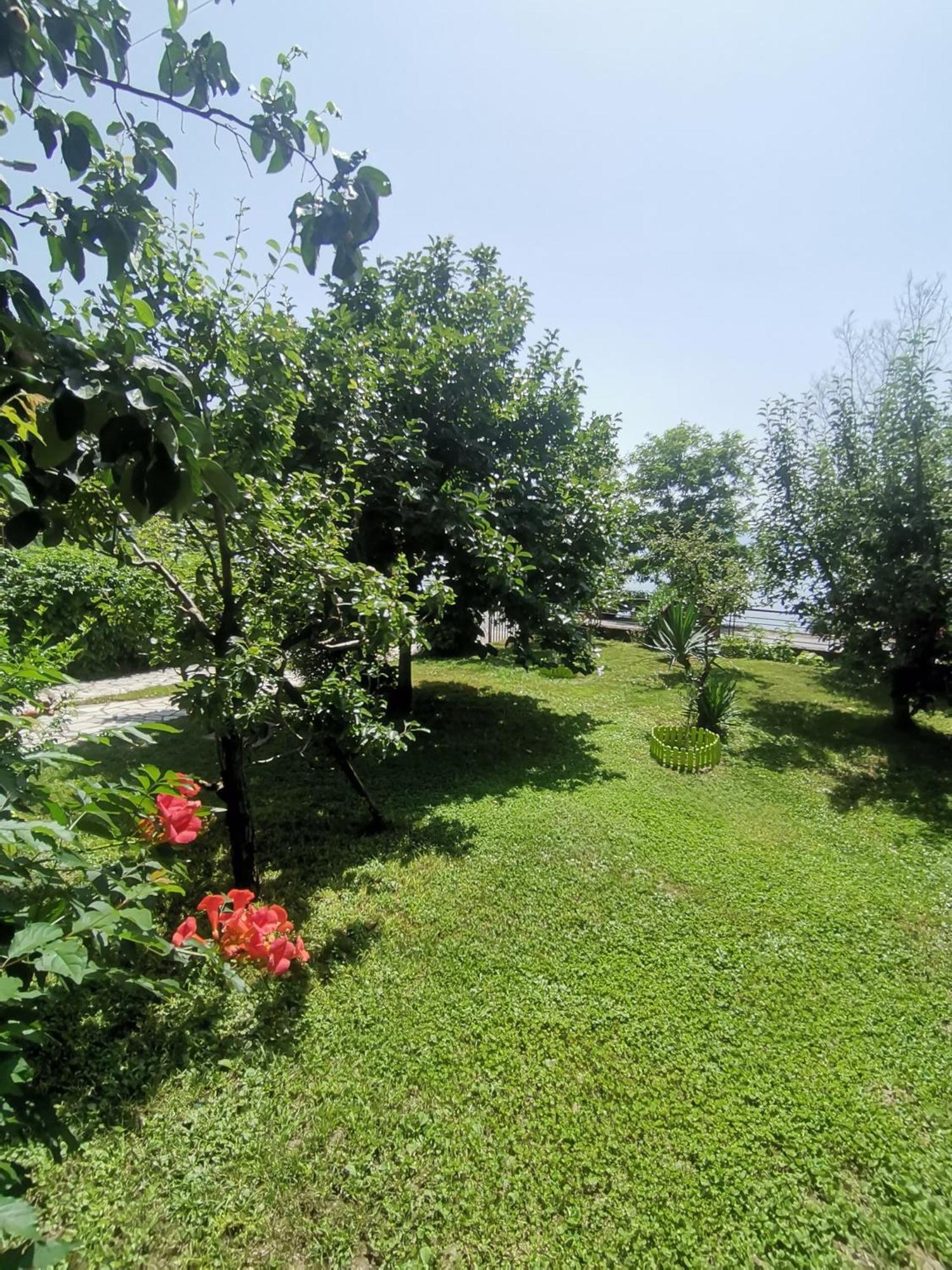 Guesthouse Zimovski Peštani Eksteriør billede