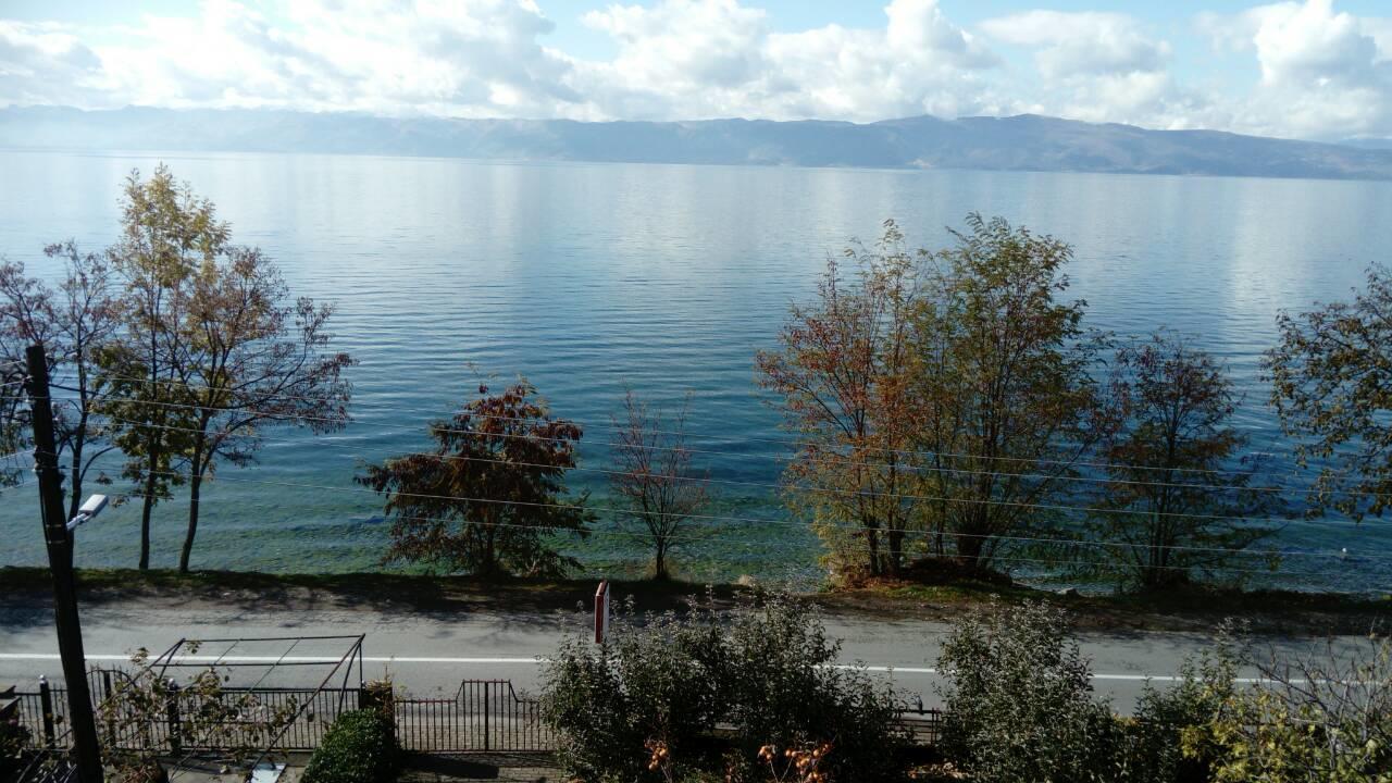 Guesthouse Zimovski Peštani Eksteriør billede