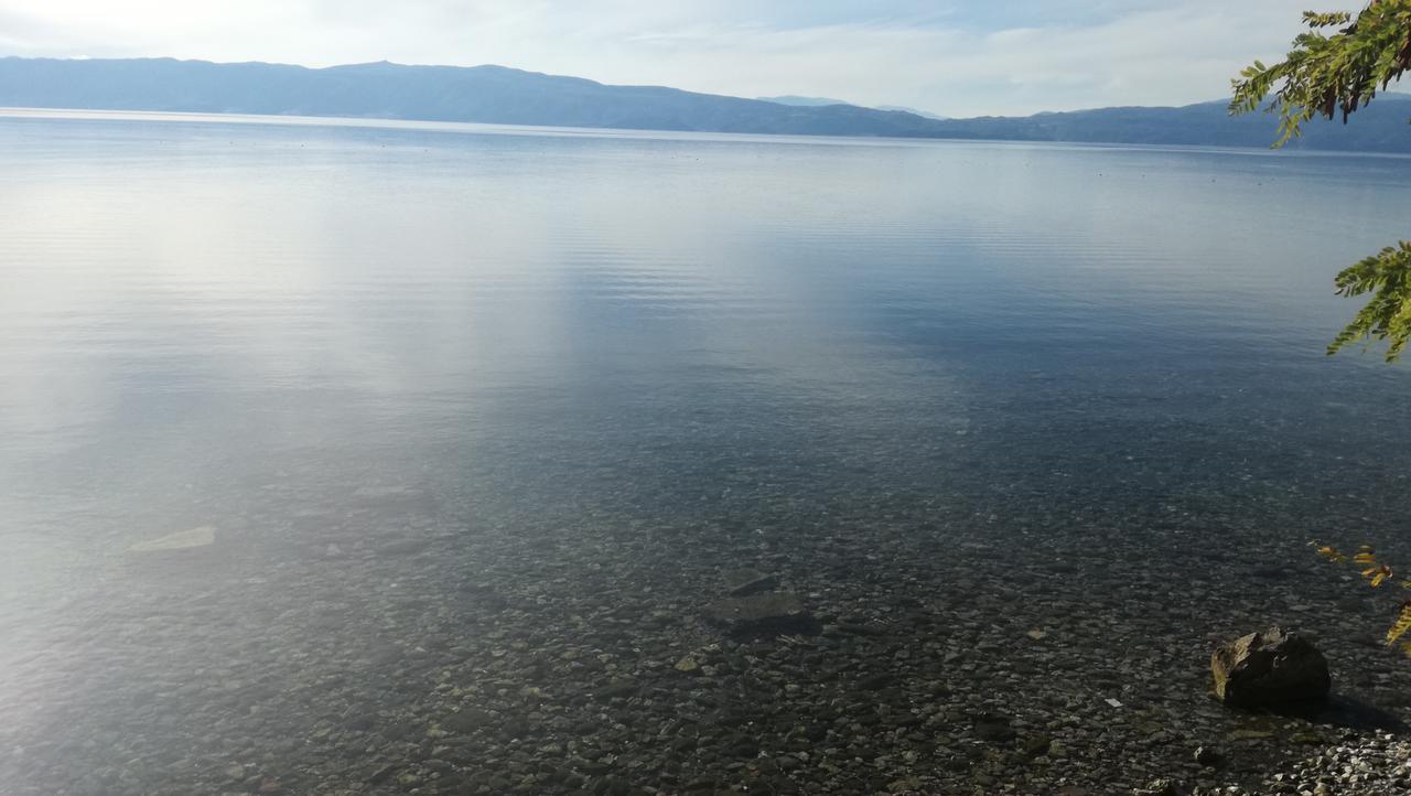Guesthouse Zimovski Peštani Eksteriør billede