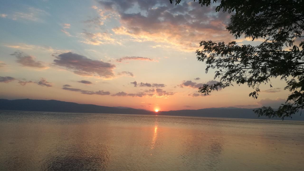 Guesthouse Zimovski Peštani Eksteriør billede