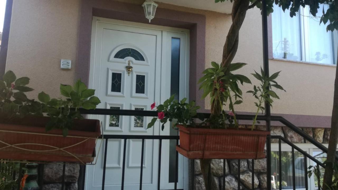 Guesthouse Zimovski Peštani Eksteriør billede