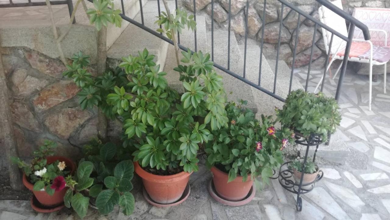 Guesthouse Zimovski Peštani Eksteriør billede