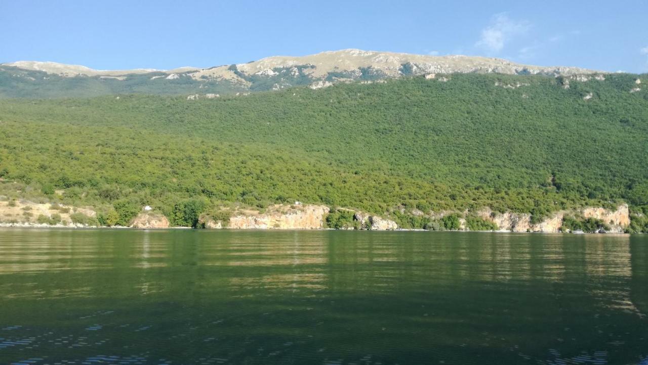 Guesthouse Zimovski Peštani Eksteriør billede